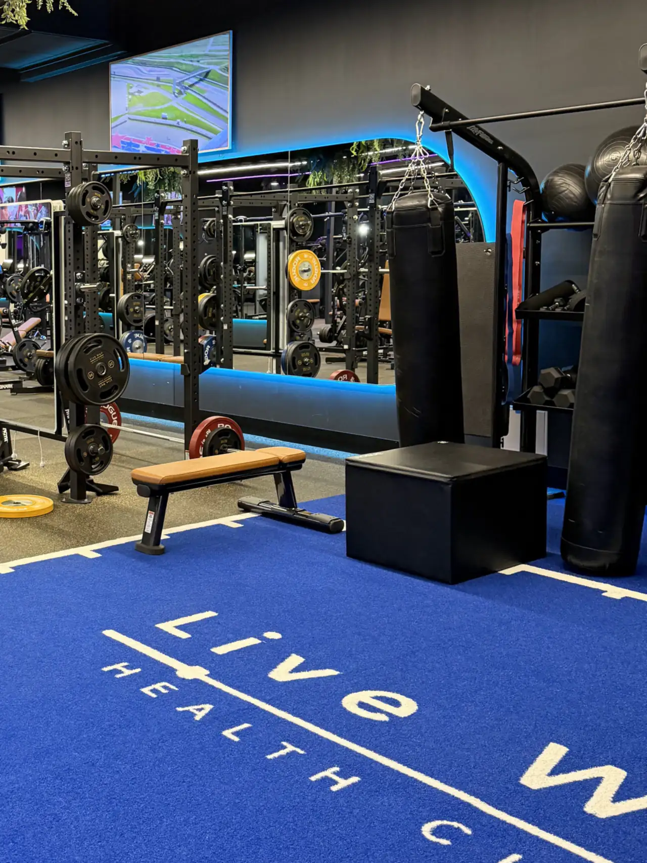Punching bags, a flat bench and the blue turf training area in the same gym
